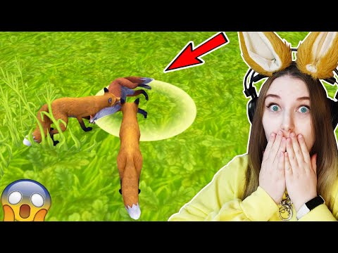 Видео: ПРЕВРАТИЛАСЬ В ЛИСУ КАНИБАЛА В ИГРЕ НА ТЕЛЕФОН WILD CRAFT