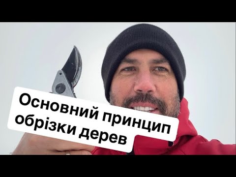 Видео: Основний принцип обрізки дерев