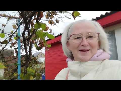 Видео: И снова огородные поделки. Осеннее переменчивое небо