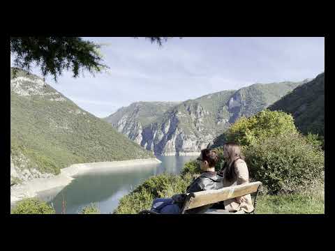 Видео: История развития концепций по моторной алалии ЯЗЫКОВАЯ, ПСИХОЛОГИЧЕСКАЯ, МОТОРНАЯ