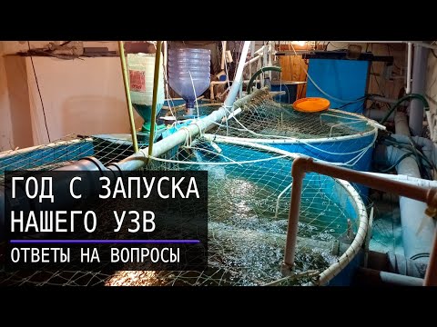 Видео: Год с запуска УЗВ   ответы на вопросы