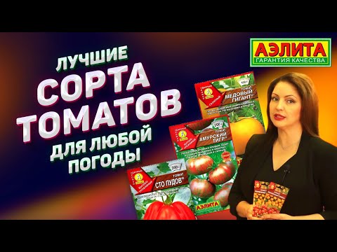 Видео: 🍅 Лучшие СОРТА ТОМАТОВ для любой погоды в 2021 году.