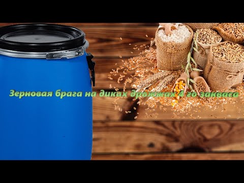 Видео: Зерновая брага на диких дрожжах 4 го закваса. Финал и Итоги. Подробное видео