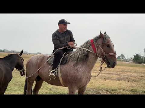 Видео: Бакы какы 2 болук Хан жонундо  создор