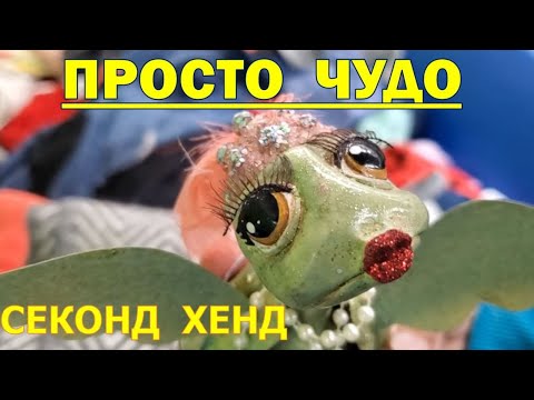 Видео: Оригинальные находки в магазине секонд хенд Гудвил, США.