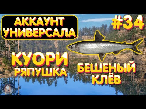 Видео: Аккаунт универсала #34 | Бешеный клёв | Ряпушка | оз. Куори | Русская Рыбалка 4