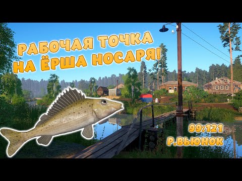Видео: Русская рыбалка 4 - ЁРШ НОСАРЬ! РАБОЧАЯ ТОЧКА! ГАЙД ДЛЯ НОВИЧКОВ! На р. Вьюнок