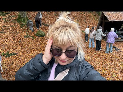 Видео: ДНЕПР-ЯРЕМЧЕ‼️КОННАЯ ТЕХНИКА В КАРПАТАХ‼️УБЕЖАЛИ В ТИШИНУ‼️