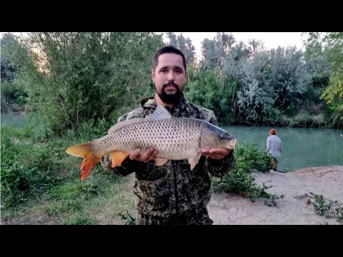 Видео: Наше открытие рыбалки на реке Или, июнь ,район Аралтобе,сазан,карась. Дата выезда 10.06-12.06.2022!!