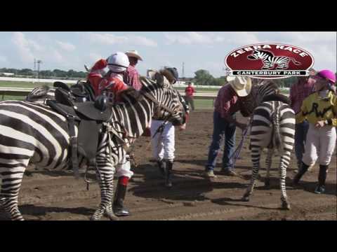 Видео: Экстремальный день в Кентербери-парке, 15 июля 2017 г.