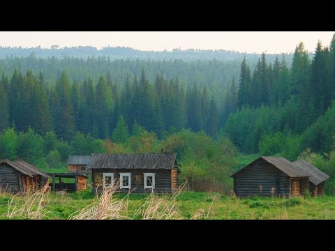 Видео: 35 лет в Тайге. Наша Жизнь в Глуши. Осень, Боровики, Рыбалка, Загадочная Щука.  Они Пришли к Костру.