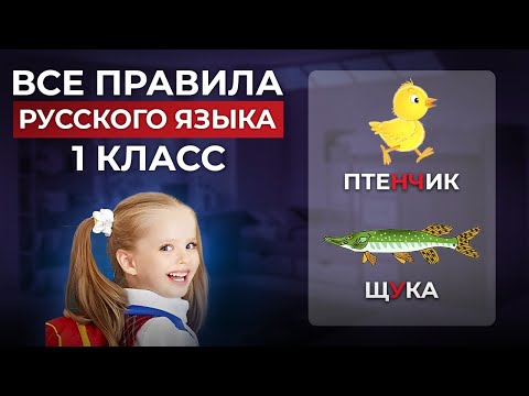 Видео: Все правила русского языка 1 класса за 7 минут! Уроки русского языка для первого класса