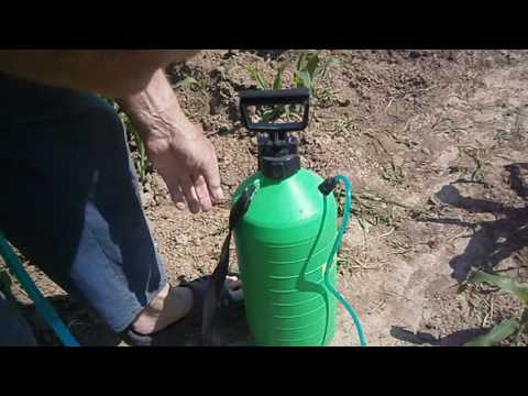 Видео: Борьба с колорадскими жуками Пневматический опрыскиватель Лемира
