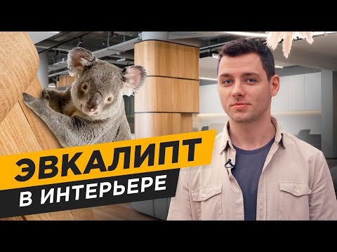 Видео: НОВЫЙ ТРЕНД в ДИЗАЙНЕ ИНТЕРЬЕРА | ЭТАЛОННОЕ ДЕРЕВО  ► Обзор шпона и текстур древесины эвкалипта