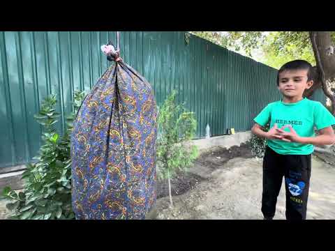 Видео: ТАДЖИКИСТАН/Как люди живут в Селе АНГУРБОГ/Я влюбился в это село и в одну ДЕВУШКУ/Прелесть Юга