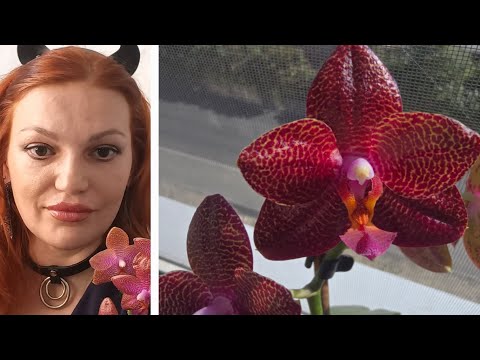 Видео: Новиночки Уходящего Сезона