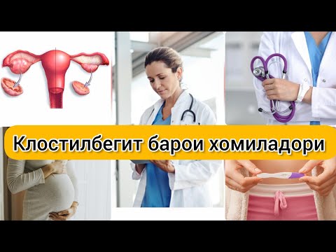 Видео: Клостилбегит ва кори Тухмдонхо. Чавоб ба саволхо. #коритухмдонхо #хаётисолим #чавоббасаволхо
