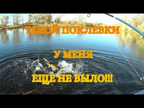 Видео: ВОТ ЭТО ПОКЛЕВКА!!! ТАКОЙ У МЕНЯ ЕЩЕ НЕ БЫЛО!!! Воблер TsuYoki COLECTOR 130SP не дает щуке покоя!)))