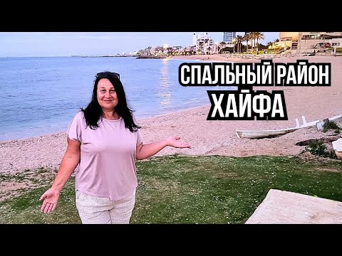 Видео: Хайфа. Кабаны добрались до Бат Галим. Прогулка по набережной