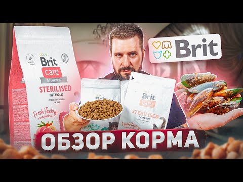 Видео: Новый сухой корм Brit Care для кошек и собак | Обзор отечественного корма Брит Кеа