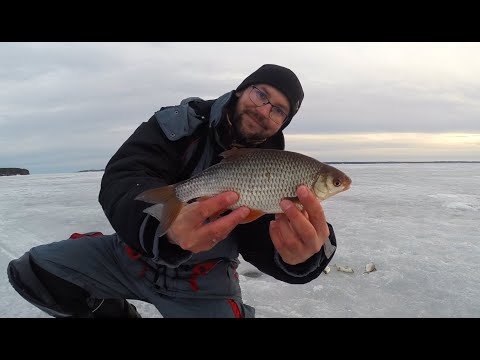 Видео: Видео памяти. Последний лёд, последняя рыбалка и последняя весна Дмитрия Куксина, 2023 год.