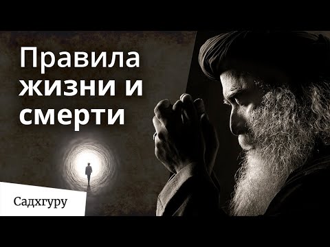 Видео: Правила жизни и смерти