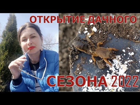 Видео: ОТКРЫТИЕ ДАЧНОГО СЕЗОНА - 2022