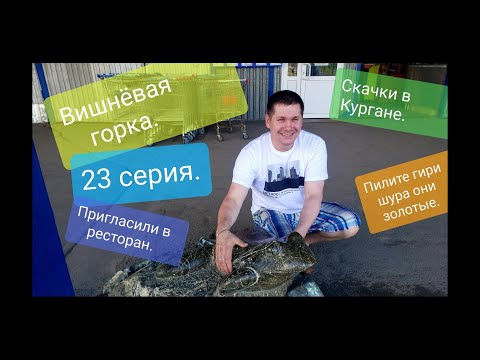 Видео: 23 Серия.Вишневая горка.Скачки в Кургане.🐎