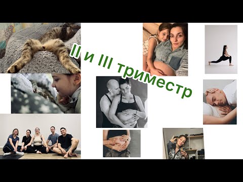 Видео: Как это было. Беременность. 2 и 3 триместр. Комната. Кот. Токсоплазмоз? Ремонт. Анализы. Узи. Алтай.