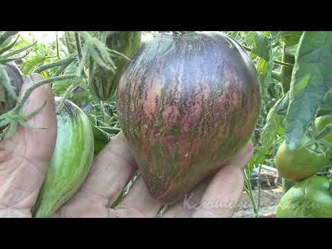 Видео: Мятежный Звёздный истребитель