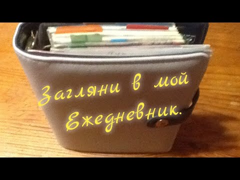 Видео: Что внутри моего ежедневника на кольцах. Все ношу с собой. *ЕленаТ*