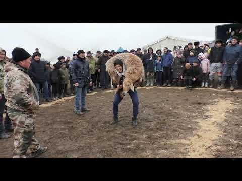 Видео: Көкпар.   Мұхамеджан 1 жас.