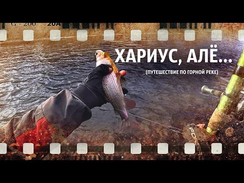 Видео: Хариус, АЛЁ  (рыболовное путешествие, bushcraft, походная кухня) октябрь 2020 год