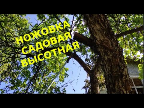 Видео: 14 сентября/Наша дача