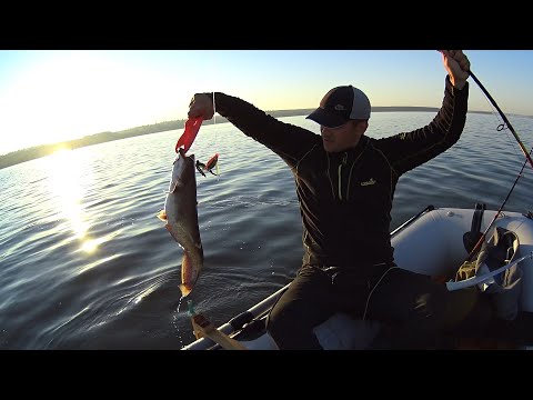 Видео: Ловля СОМА на КВОК на ДНЕПРЕ.Снасти Насадки Эхолот для Ловли Сома на КВОК.У всех НЕловиться а МЫ ...