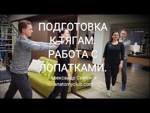 Видео: Подготовка к тягам. Работа с лопатками