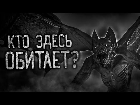 Видео: КТО ЗДЕСЬ ОБИТАЕТ?! Страшные истории на ночь.Страшилки на ночь.