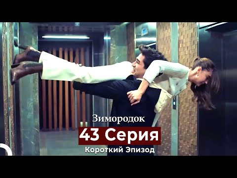 Видео: Зимородок 43 Cерия (Короткий Эпизод) (Русский дубляж)