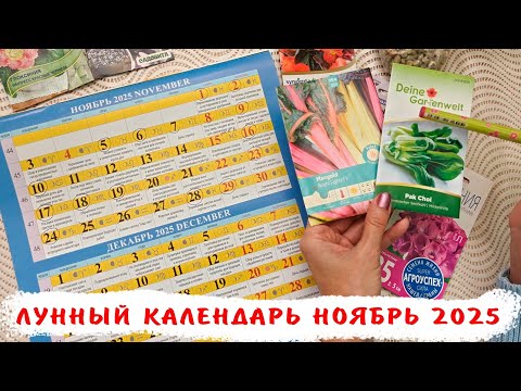 Видео: Лунный посевной календарь огородника на Ноябрь 2025. Благоприятные дни, лучшее время для посадок!