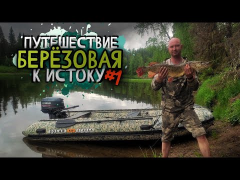 Видео: р. БЕРЕЗОВАЯ: Лесорубы бегут от медведицы, рекордный улов. ЧАСТЬ 1