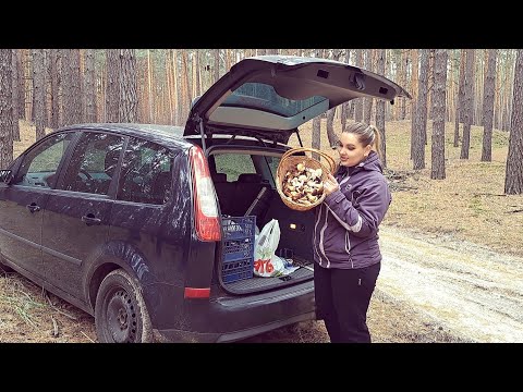 Видео: ВЛОГ/ НЕ МОЖЕМО ЗУПИНИТИСЬ!!!/ 01.11.25