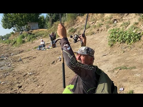 Видео: Рыбалка на Сырдарье. Мехнат.