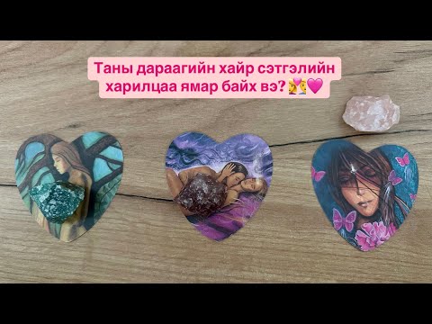 Видео: Таны дараагийн хайр сэтгэлийн харилцаа ямар байх вэ? 👩‍❤️‍👨💓😍 (Ганц бие хүмүүст) | Тарот мэргэ 🔮