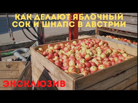 Видео: Как в Австрии делают яблочный сок, вино и шнапс. Семейное частное производство.