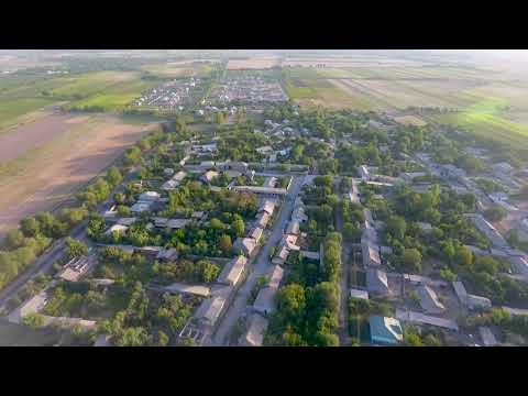 Видео: Кафтархона ба пеш