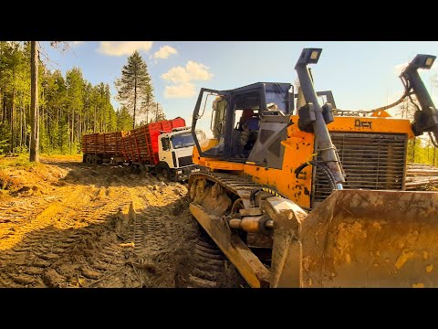 Видео: Застрял так, что порвал Мазая. #лесовоз #маз