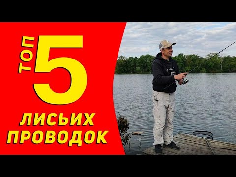 Видео: ТОП 5 Проверенных Джиговых проводок. 100% уловистые проводки приманок!