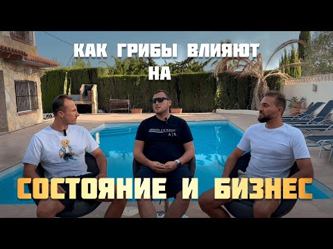 Видео: Секреты Грибов: Как Они Меняют Бизнес и Жизнь. Интервью у Бизнесмена