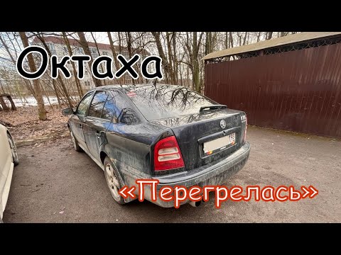 Видео: Диагностика и оживление: BMW X3, Nissan Almera, Škoda Octavia Tour.