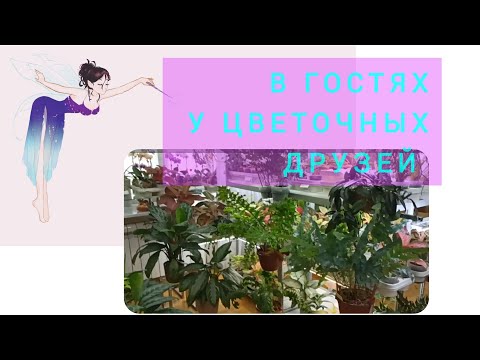 Видео: В гостях у "Цветочной подруги" Татьяны! Обзор в цветочном раю 😍😍😍!Волгоград 17.04.2024 г.